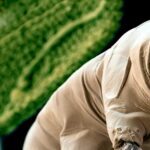 Profilbild för Storpo